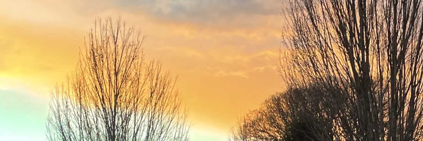 tylrbossr's profile banner image