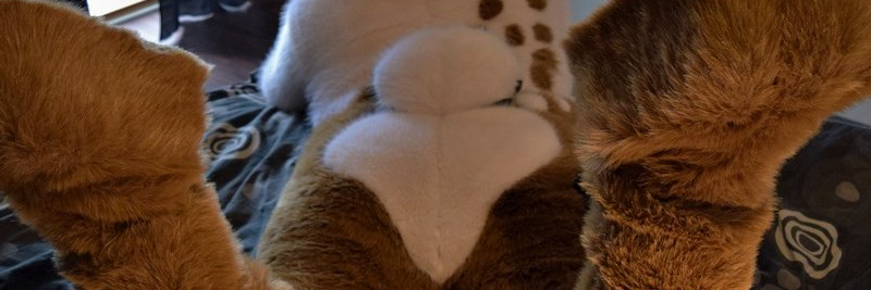 Fursuit Butts! banner