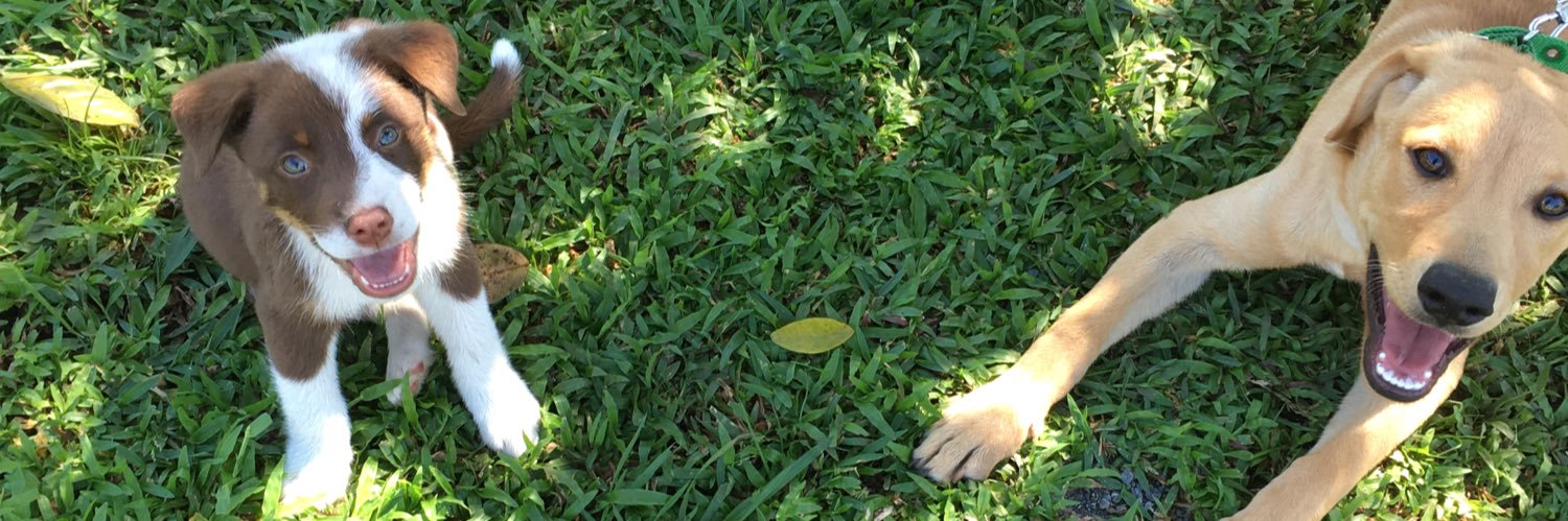 Yyse20's profile banner image