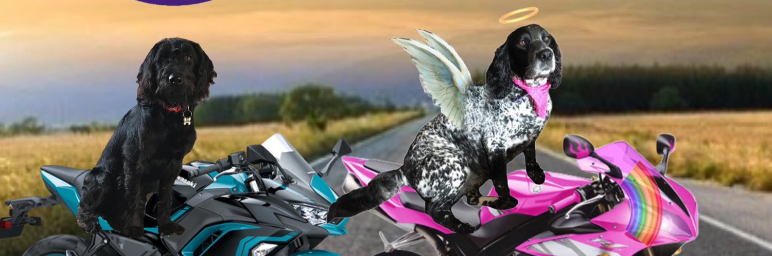 🐶Cola & Michelle👩🏻Dotty🐶🌈 banner