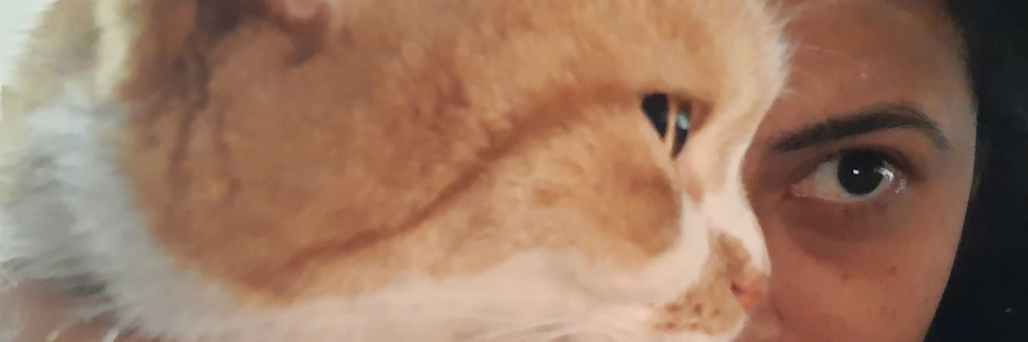sumakhandige's profile banner image