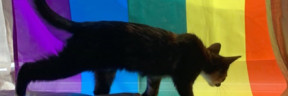 cidneymarshall's profile banner image