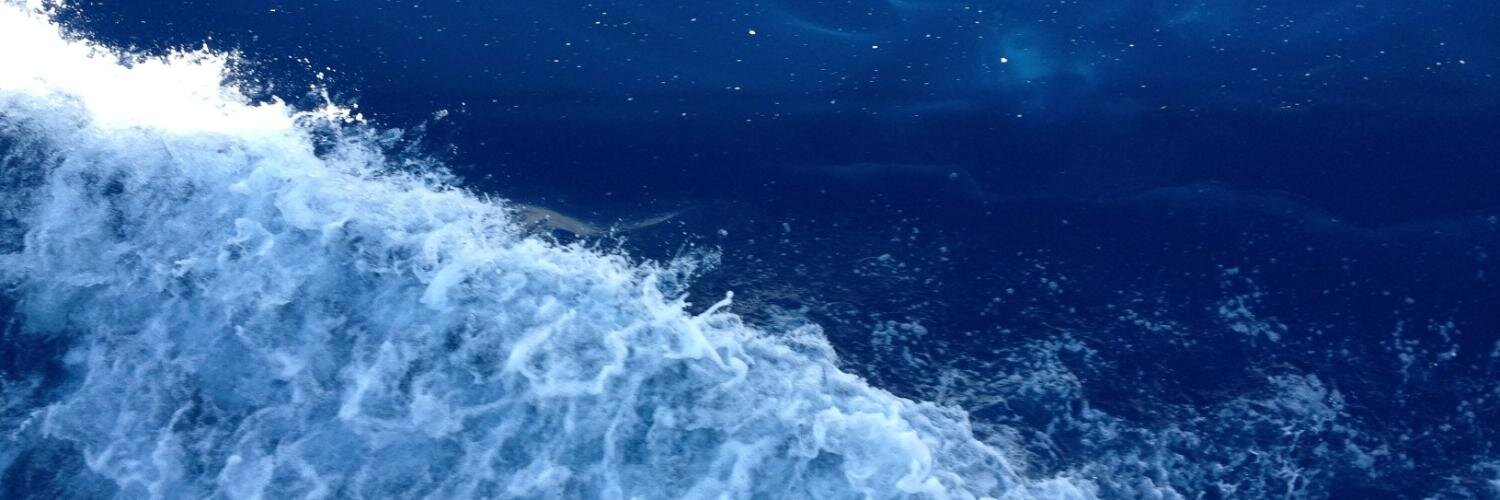 Núria Masdéu banner