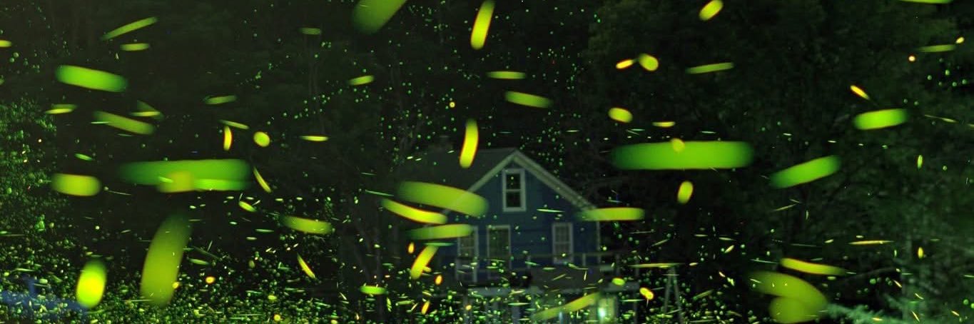bee_lemony's profile banner image