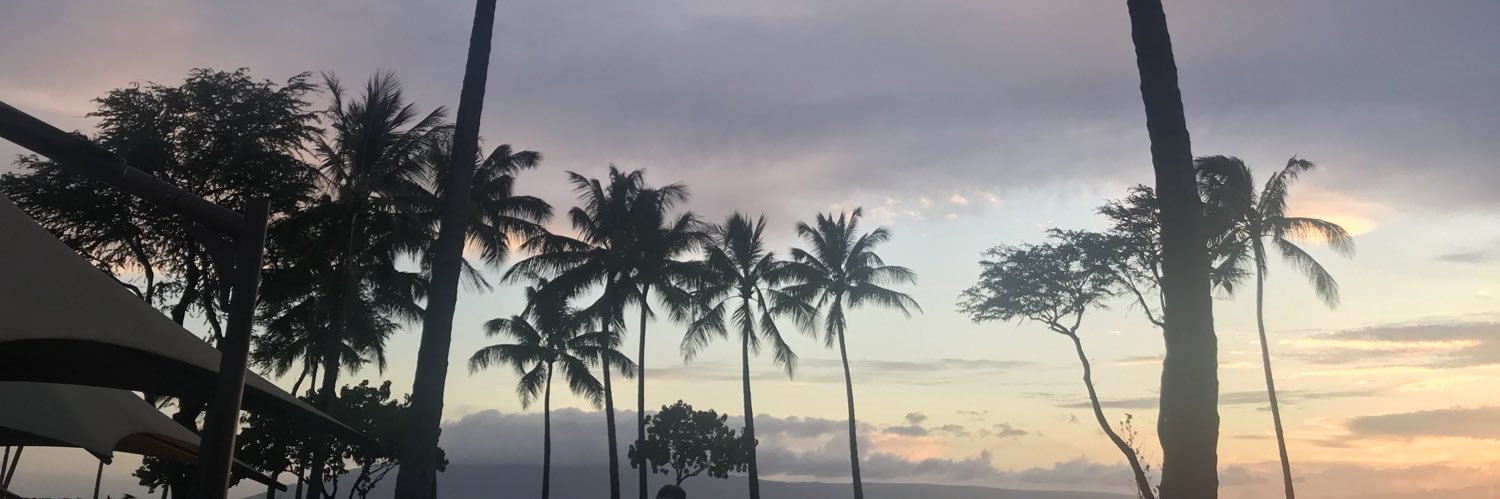 samreboweprice's profile banner image