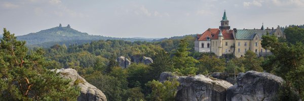 pinesheet Profile Banner