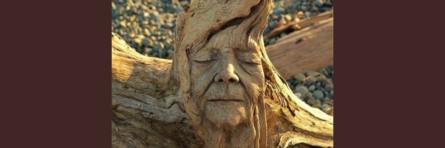 💙Mrs.C ☮️💙🇺🇦🇺🇸🏳️‍🌈 banner