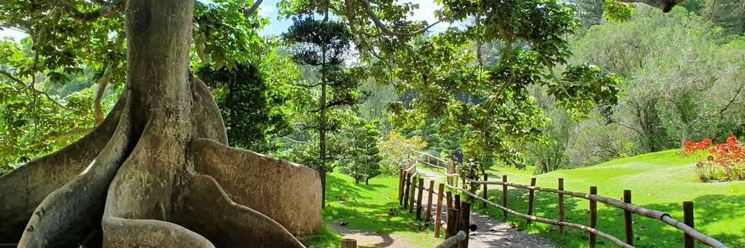 Lentejuela💫 banner