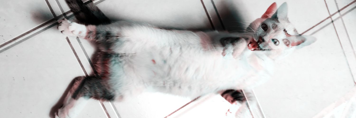 Kelyn_MP's profile banner image