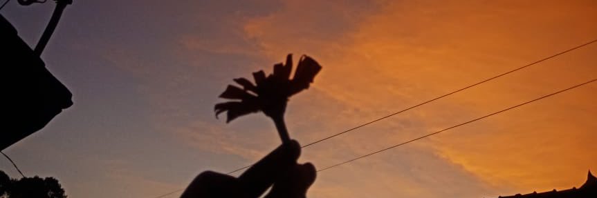 RikaInsani's profile banner image