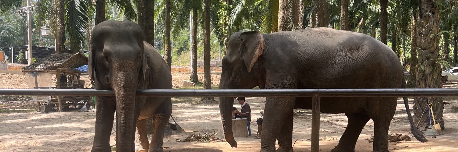 Jaedyn Denroche banner