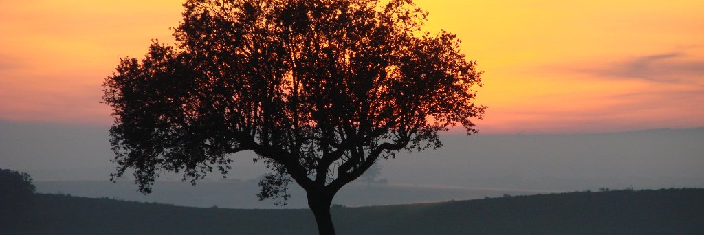 pmdconceicao's profile banner image