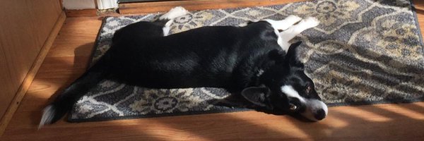 SunKat_y Profile Banner