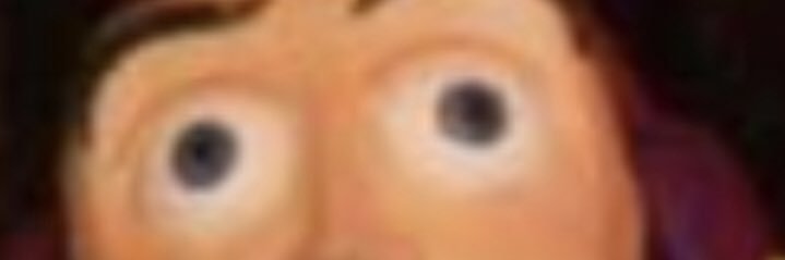 RYAN banner