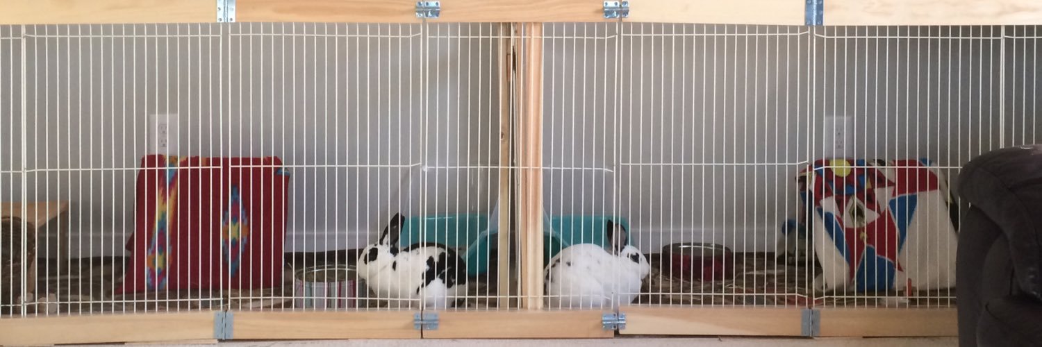 ChicoBronson's profile banner image