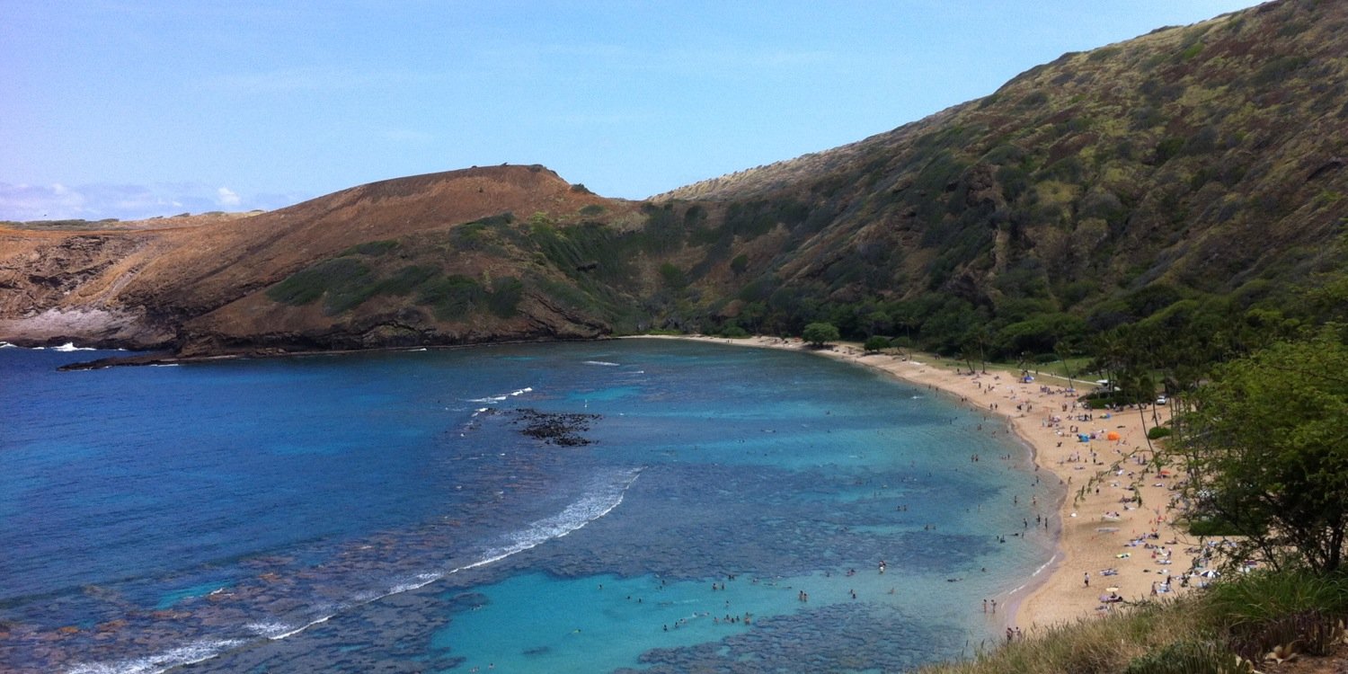 Stephanie Drake banner