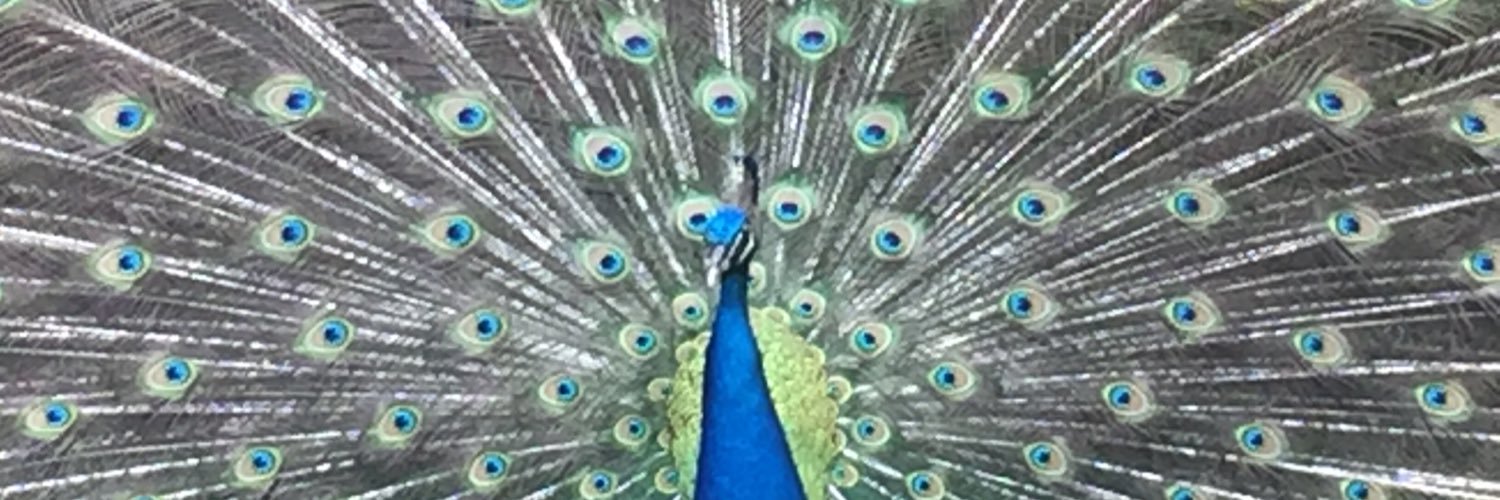 Sheryl89C's profile banner image