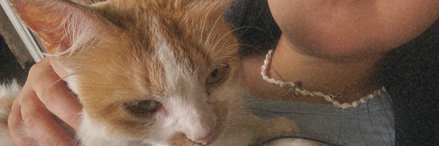 zoeeeem_'s profile banner image
