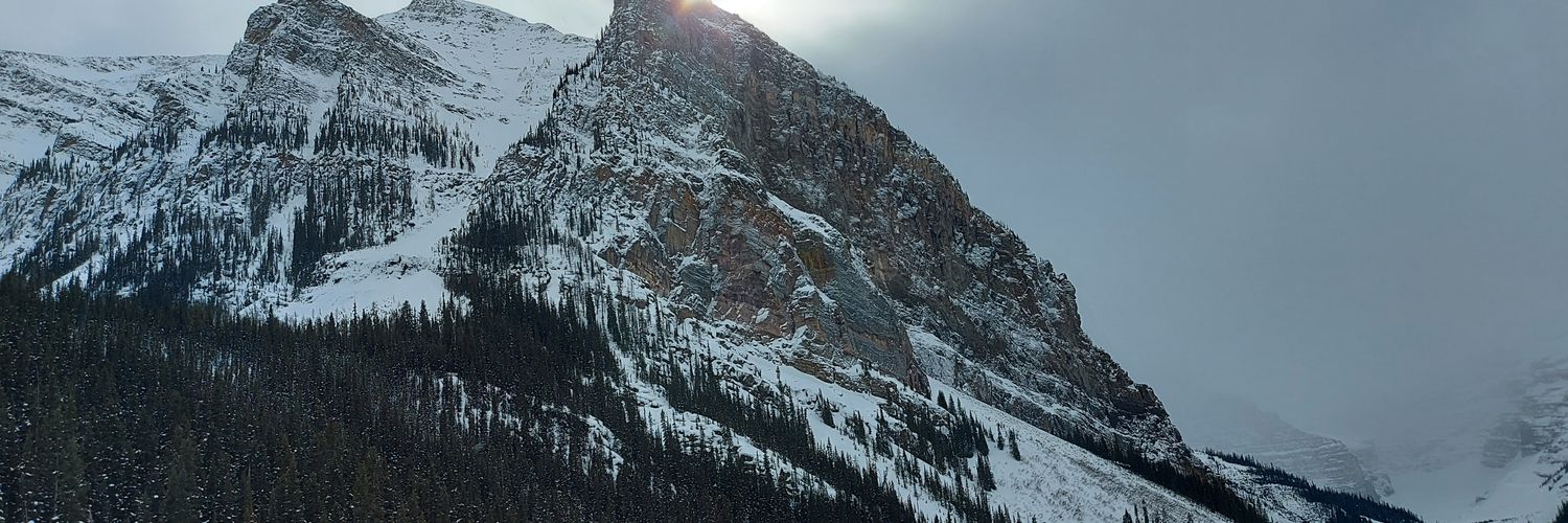 Zepuseba's profile banner image