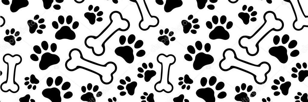 PupBreaux's profile banner image