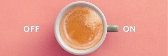 Cecile LePandeLigny banner