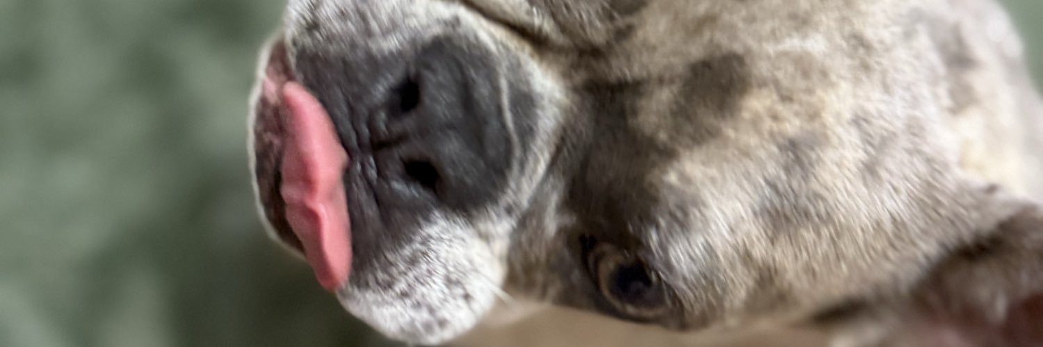 LollyTerror's profile banner image