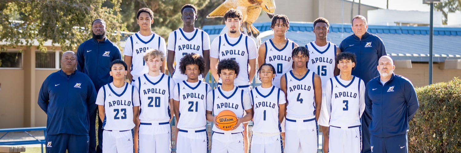 Apollo Hawks Basketball banner