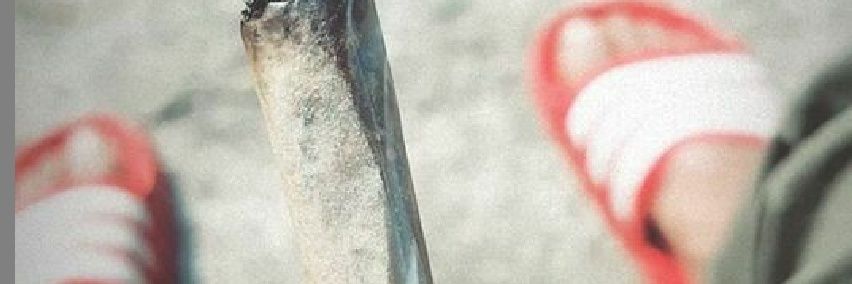 albertobixpty's profile banner image