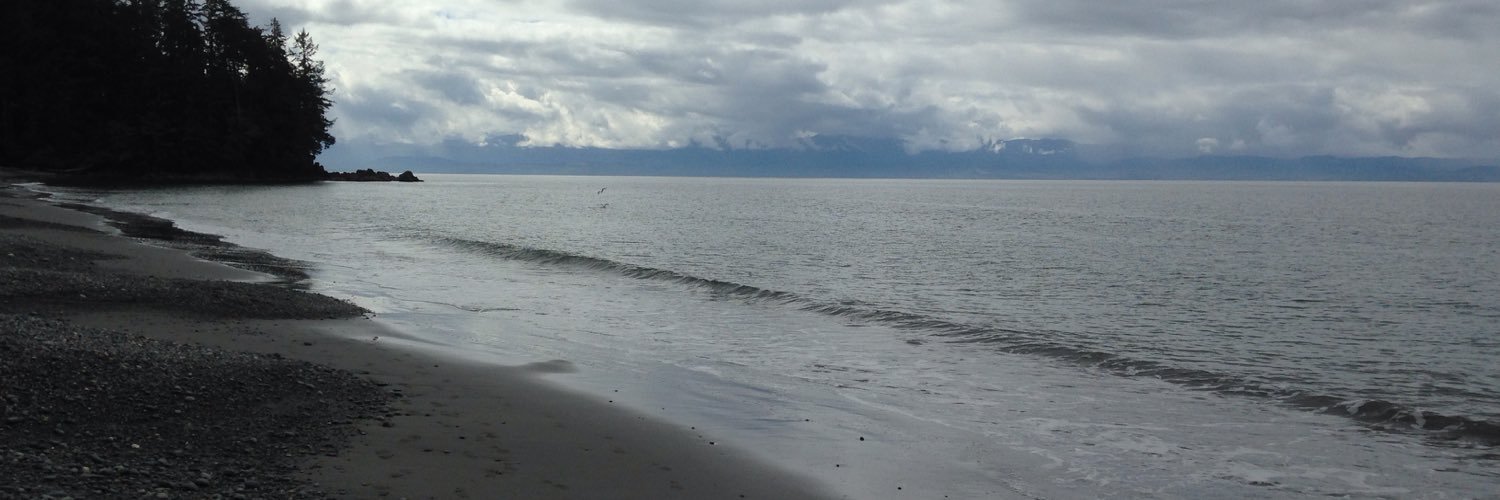 jevybear's profile banner image