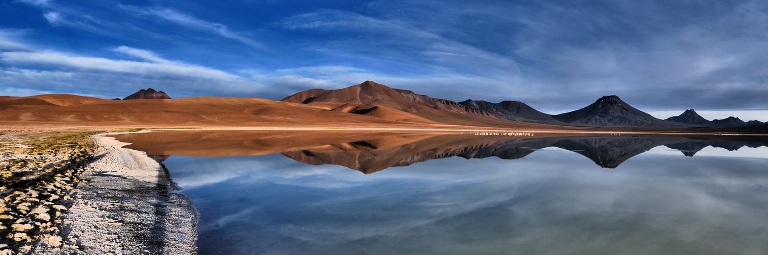 Felipe Bisbal banner