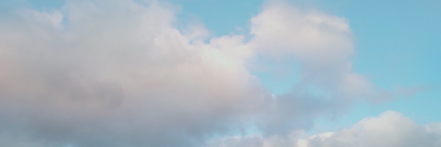 Trilok banner
