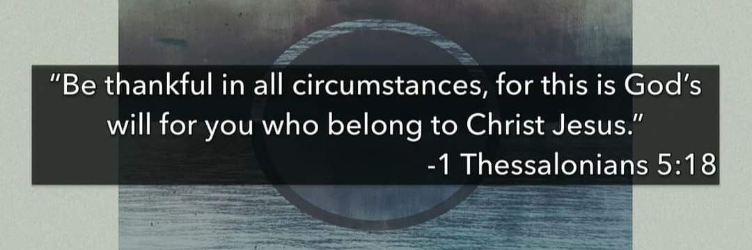 Donna Barrett banner