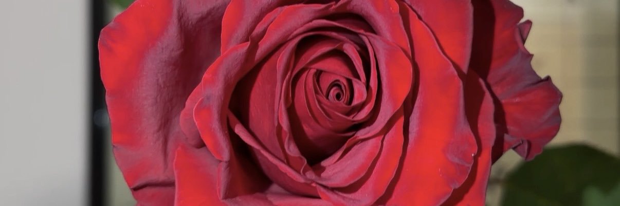 Tydeshaaaa's profile banner image