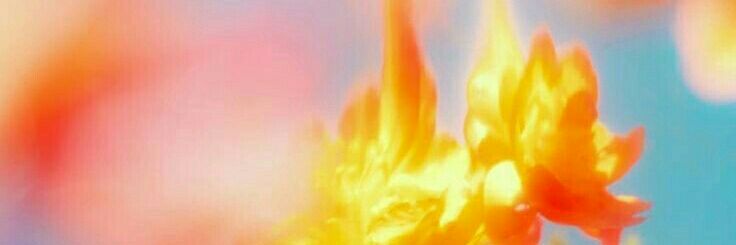 damnwrld's profile banner image