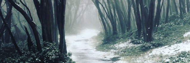 Mel banner