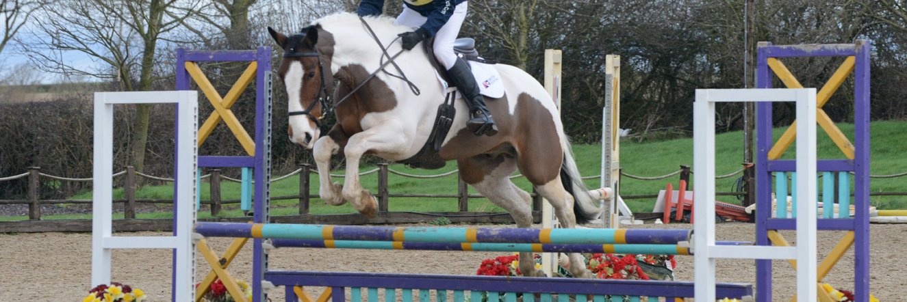 PonyComp's profile banner image