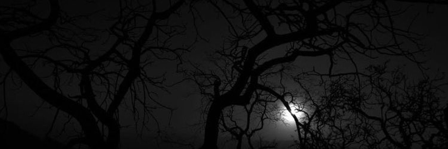 madyyschmitt's profile banner image