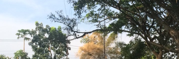 Pembayunnp's profile banner image