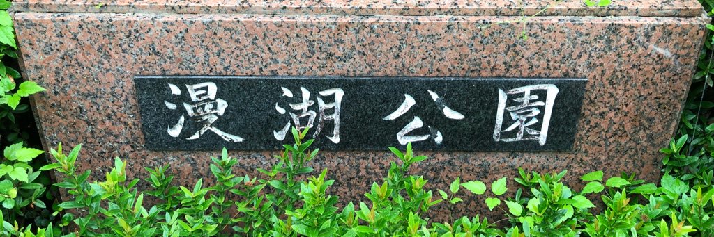 ctskimura's profile banner image