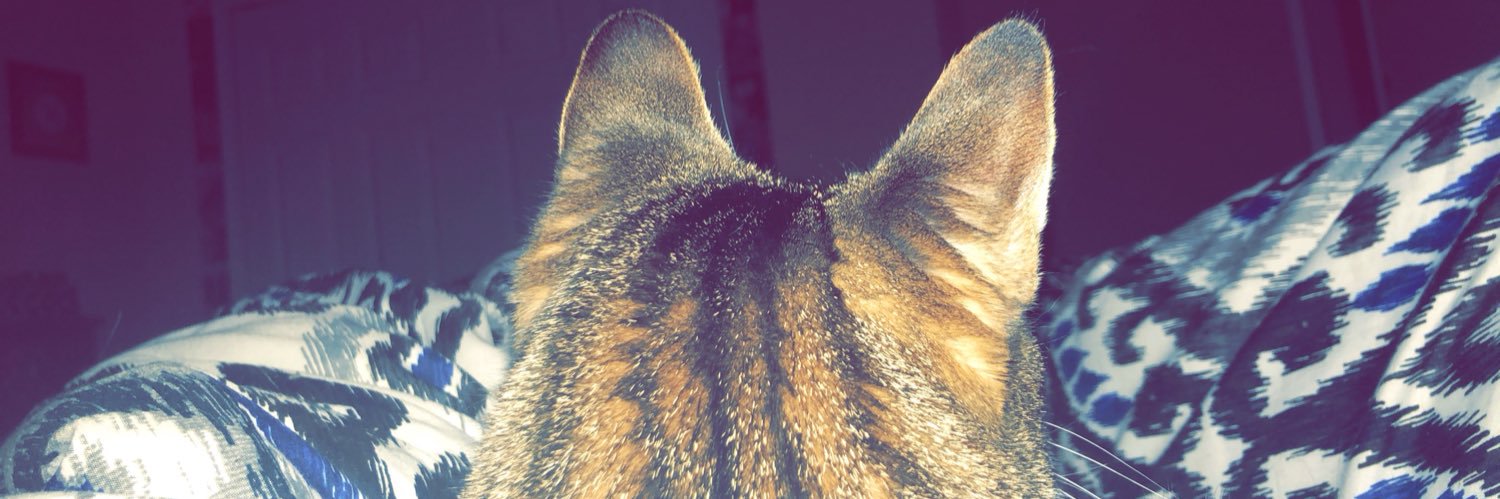 morgan_stenzel's profile banner image
