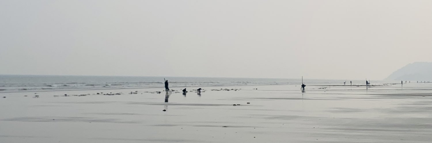bdcccd's profile banner image