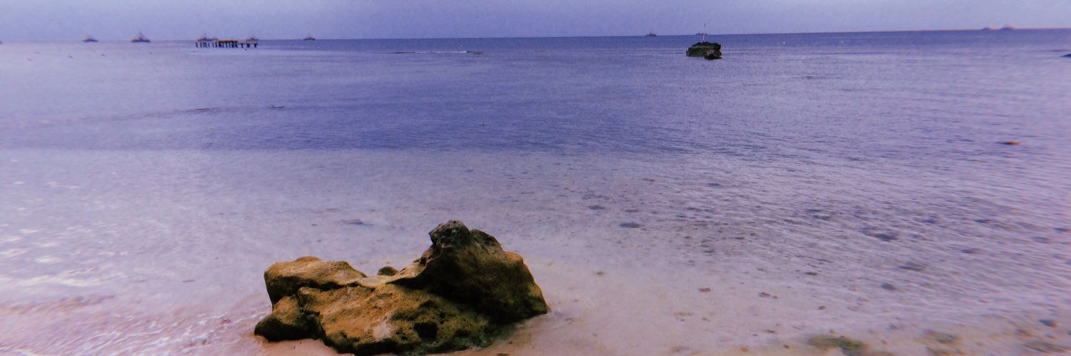 ananda dwi putri banner