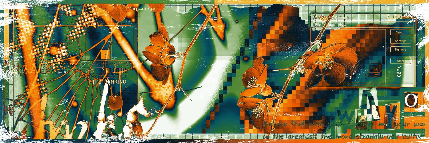Difoxn banner