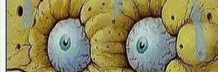 robbylmaster's profile banner image