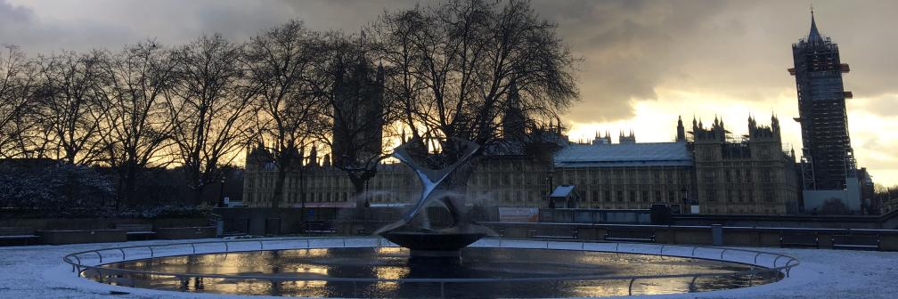 London Obstetric Medicine Group banner