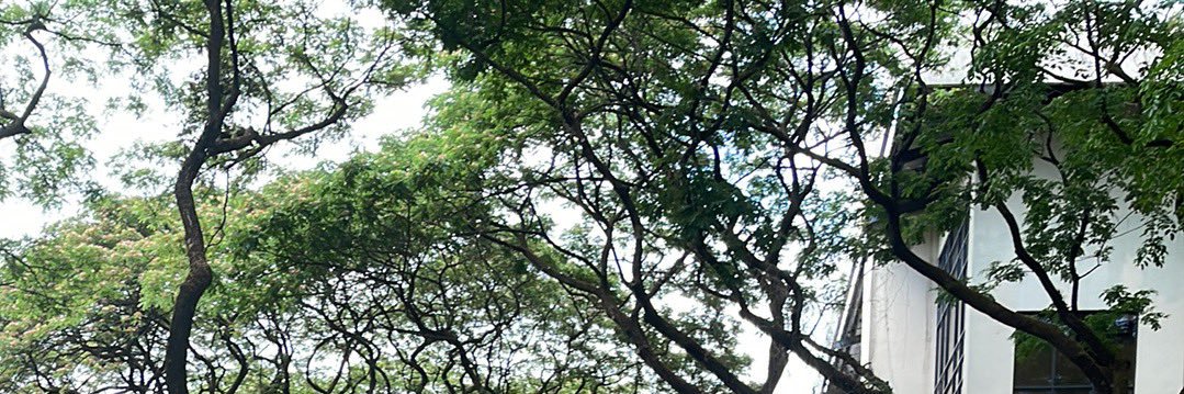 imdanniwilliam's profile banner image