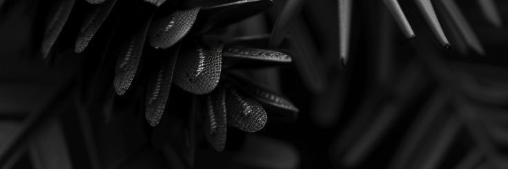 ryanclarissa's profile banner image
