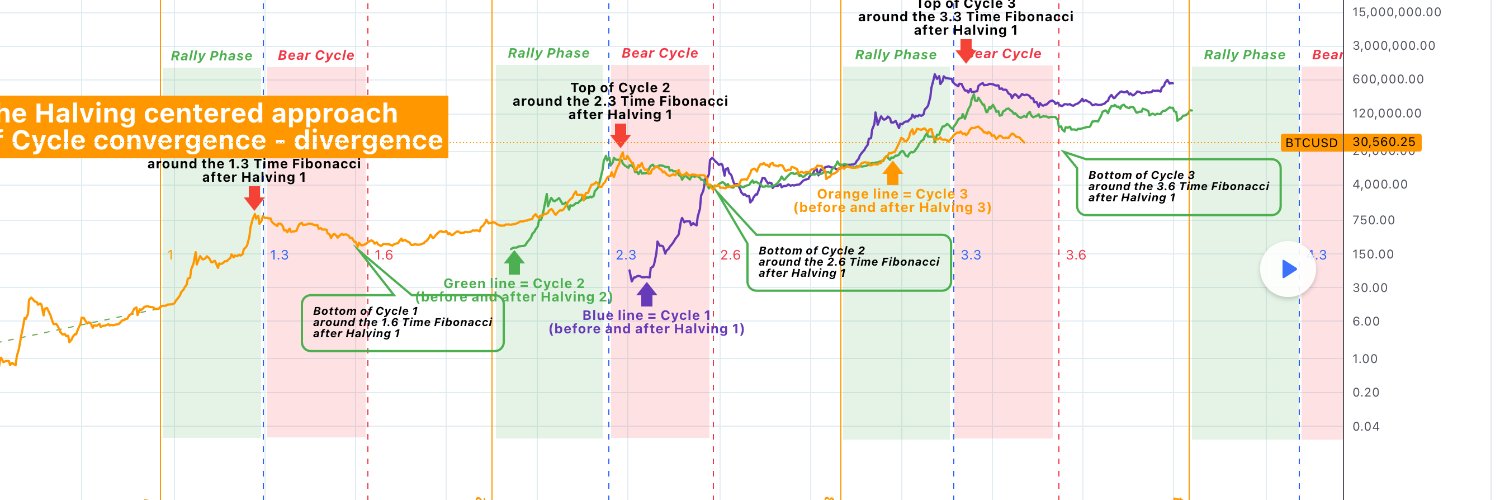 BitcoinAshark's profile banner image