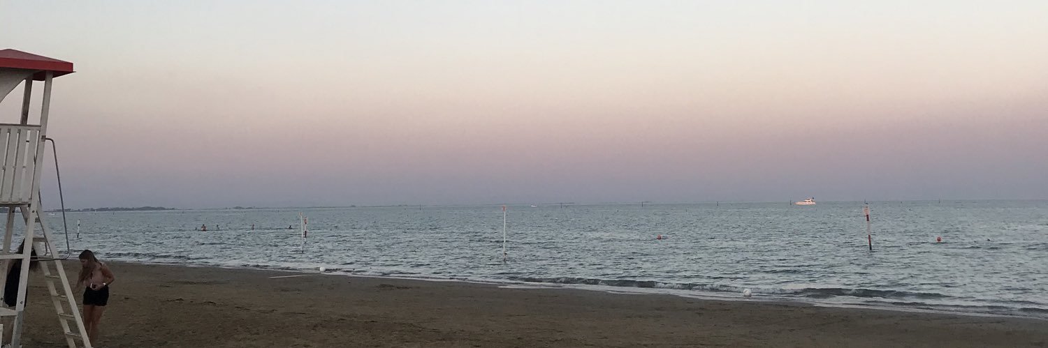 alicevidoni's profile banner image