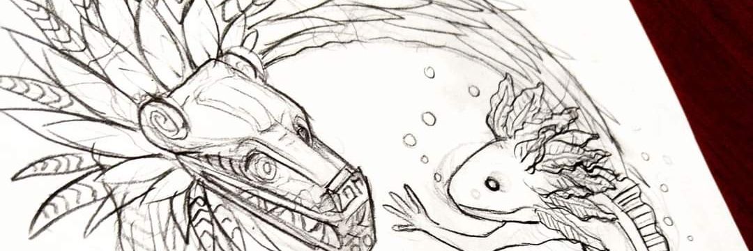 CattusObservado's profile banner image